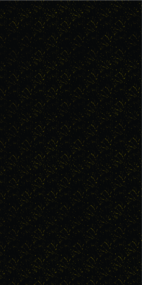 SP-8004
