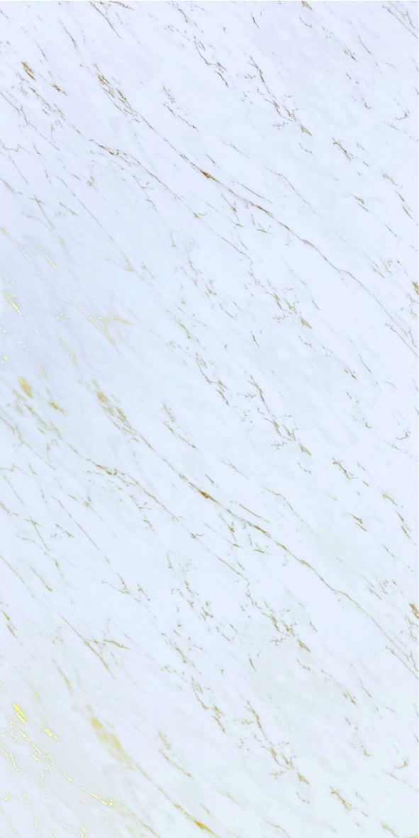 SP-8011